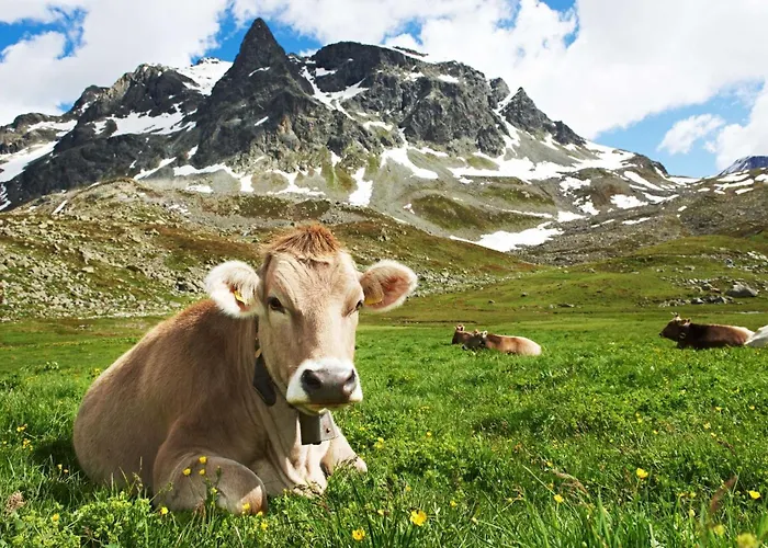 Prázdninový dům Dsw