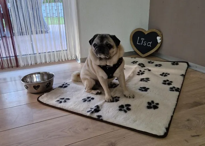 Prázdninový dům Dsw